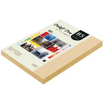 종이문화 프린트 프로 칼라 복사용지 No 03 베이지 80g, B5, 170개
