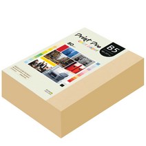 종이문화 프린트 프로 칼라복사지 No.03 베이지 80g, B5, 680개