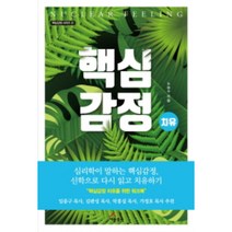 핵심감정: 치유:핵심감정 치유를 위한 워크북, 세움북스