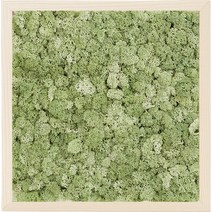 스칸디아모스 액자 프라모 BIRCH 프레임 민트, 1개