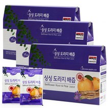 싱싱 도라지 배즙, 90개, 100ml
