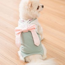 파스텔펫 반려동물 한복자수 중성화복, 그린