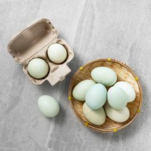무항생제 인증 제주 방사 청란 (1번란) 10구, 400g, 1개