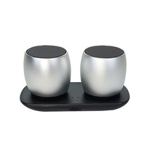 제이토리 듀얼 휴대용 블루투스 스피커 JTORY JT2, 실버