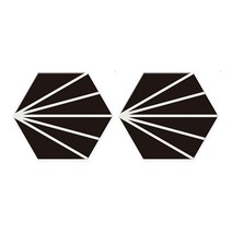 알럽홈 유니크패턴 티코스터 2p, 포인트라인A