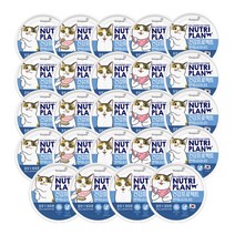 뉴트리플랜 뽀짜툰 고양이 건강 프로젝트 간식캔 160g, 면역 앤 유리너리, 24개