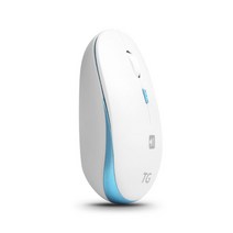 TG삼보 무선 마우스 TG-M300GN + 게이밍 마우스패드 RAMA2-RA001, TG-M300GN(마우스), RAMA2-RA001(마우스패드), 블루