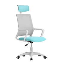 다니카 로엠 헤드형 화이트 체어 OLHD-888W, 민트