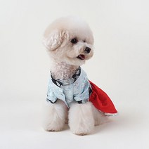 황진이 원피스 반려동물 한복, 혼합색상
