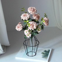 조화 국화, 연핑크