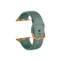 비쉐르 애플워치 1 골드 버클 라운드 V2 실리콘 밴드 스트랩 38mm, 그레이그린, 1개