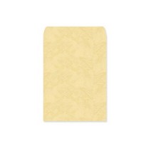 레자크 서류봉투 베이지 245 x 330 mm, A4, 100개