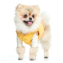 루나하우스 반려동물 골덴 하네스 패딩, 옐로우