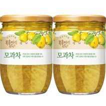 복음자리 모과차, 620g, 1개입, 2개