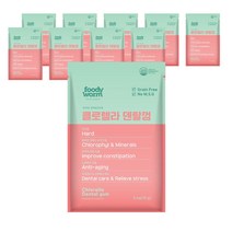 푸디웜 클로렐라 덴탈껌 강아지 간식, 10개