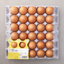 포코스 모양펀치 R-18 / 18mm / Rezo 모양펀치, 118달걀, 종류/수량:118-달걀/1개
