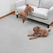 반려동물 생활방수 미끄럼방지 보호매트 롱타입 4mm, 연그레이