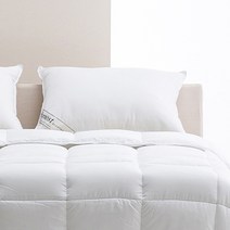 더코이즈 마이크로화이버 피치스킨 베개솜 900g, 화이트