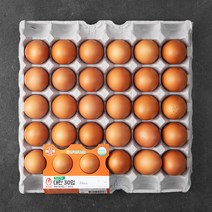 한국양계농협 목계촌 대란 30구, 1560g, 1개