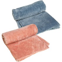 VWY 반려동물 보온 담요 2p, 랜덤발송