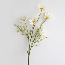 주앙오브제 조화 데이지 코스모스, 01 하얀