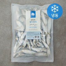 조혜정의멸치연구소 삼천포 참디포리 (냉동), 600g, 1개