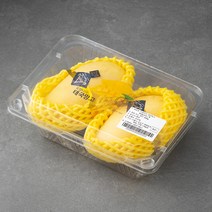 로얄타이 태국산 망고 2입, 500g, 1개