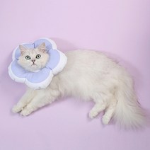 고양이 강아지 꽃모양 쿠션 넥카라 라벤더 L, 140g, 1개