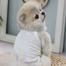 에이미러브즈펫 반려동물 야광곰나시, 야광