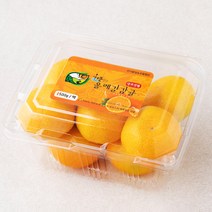 올레길감귤 GAP 인증 해풍맞은 올레길 당도선별 하우스감귤, 500g, 1개