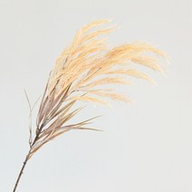 도시정원 조화 밀가지, 브라운