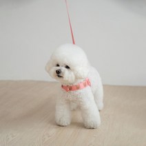 어거스몬 강아지 심플베어 앞섬방지 하네스, 핑크