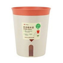 모리앤 칼라 저면관수 화분, 오렌지