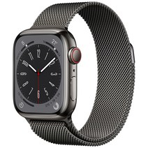 Apple 애플워치 8 GPS+Cellular, 41mm, 스테인리스, 그래파이트 / 그래파이트 밀레니즈 루프