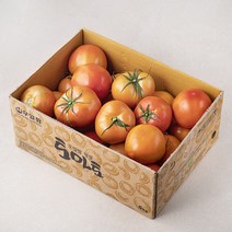 우일팜 GAP 주스용 완숙 토마토, 5kg, 1개