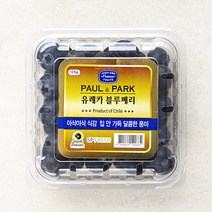 폴앤박 유레카 블루베리, 125g, 1개