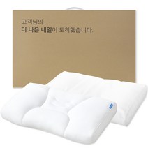 슬리픽 기능성 베개 + 코튼 커버 세트, 화이트