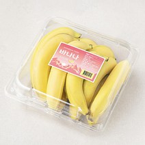 델몬트 과테말라 바나나, 1.36kg, 1개