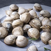 단디프레시 직접 손으로 채취한 서해안 갯벌 동죽조개, 1kg, 1개