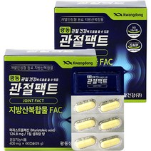 광동 관절팩트 영양제 24g, 60정, 2개