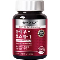 뉴트리디데이 프리미엄 콜레우스 포스콜리 36g, 60정, 1개