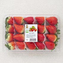광식이 농장 GAP 인증 하이베리 딸기, 500g, 1개