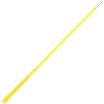 리온 스테인리스 스틸 헤드 골프 스윙연습기 HY613, 옐로우