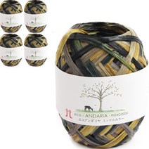 브랜드얀 안다리아 뜨개실 컬러풀 80m, 268, 5개