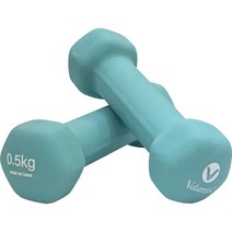 밸런시스 미용아령 민트 0.5kg, 2개