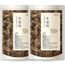 한방선생 볶은 우엉차, 200g, 2개, 1개입