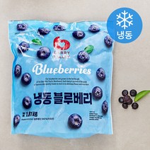 충북 영동 국내산 냉동 블루베리 1kg 500g 2팩 GAP인증