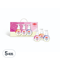 랩신 컬러체인징 포밍 핸드워시 베리향 500ml + 피치향 500ml +포도향 500ml 에디션 선물세트, 5세트