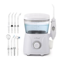 아이버드 구강세정기 600ml, IB-700DI