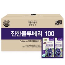 네오보감 김종관's 진한 블루베리100, 80ml, 60개입